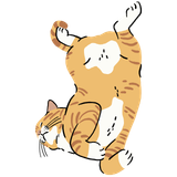 Belly Cat drawing of a ginger cat on its back showing its belly