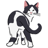 drawing of a black and white cat looking over its shoulder